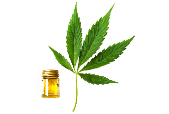 l'olio di canapa di Cannabis oil